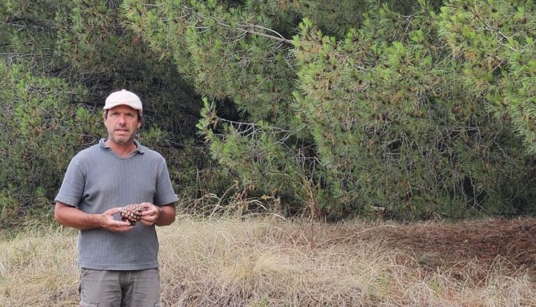 De Claromecó al mundo: el boom del piñón