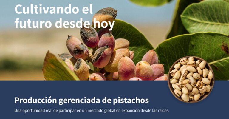 El Pistacho celebra su día el 26 de Febrero a puro crecimiento y se consolida como la “Nuez Feliz”