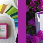 El oráculo argentino que interpreta emociones a través de colores